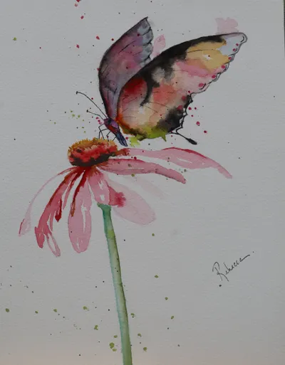 butterfly min