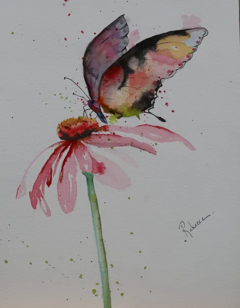 Butterfly